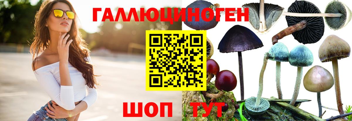 Псилоцибиновые грибы ЛСД  Галлюциногенные грибы мухоморы  купить   Вход с VPN  Свободный 