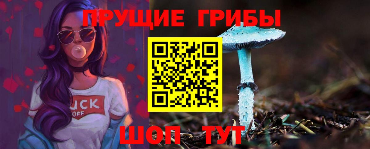 Псилоцибиновые грибы Cubensis Свободный